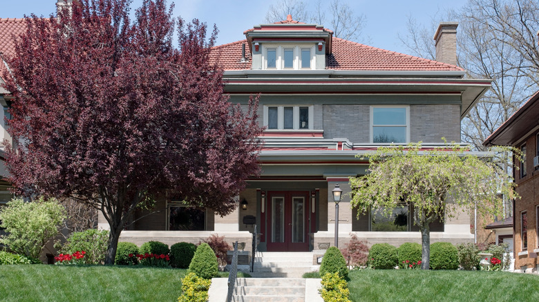 Arts and Crafts house brown roof