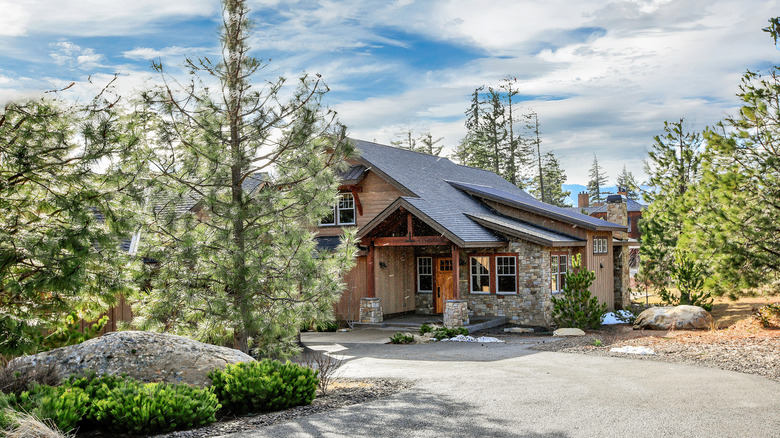 Wood and stone Craftsman exterior