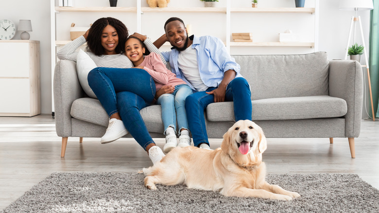 Family on living room sofa