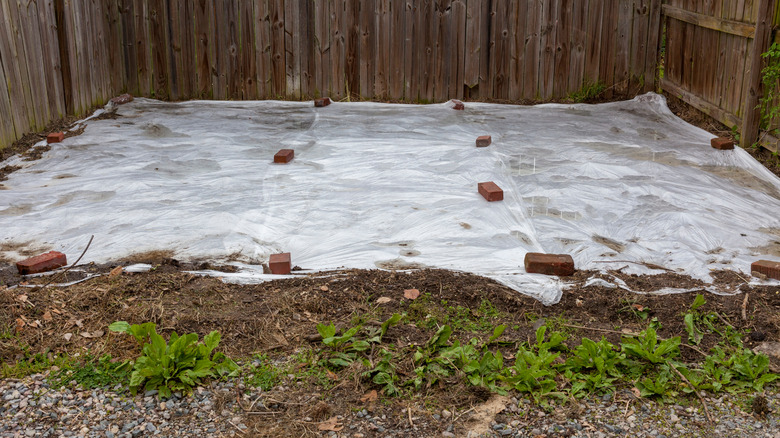 Tarp on garden bed