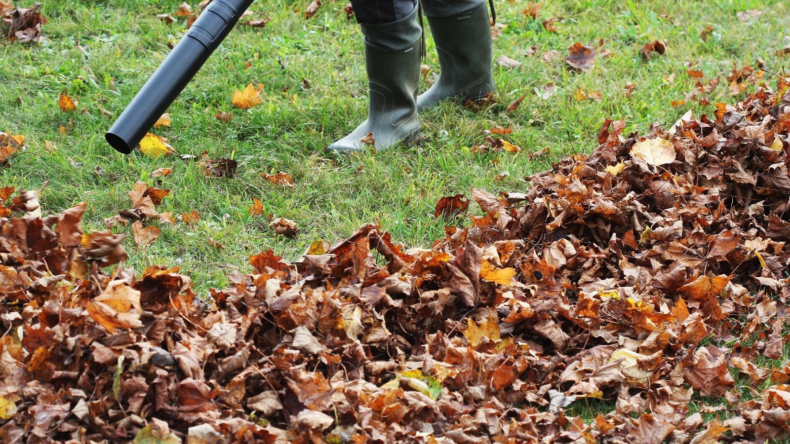 Everything You Need To Know Before Buying The Craftsman Leaf Vacuum
