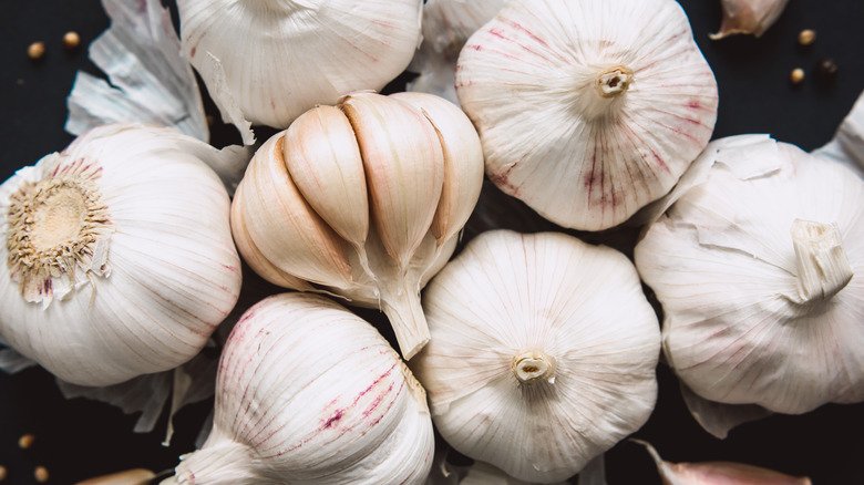 pile of fresh garlic bulbs