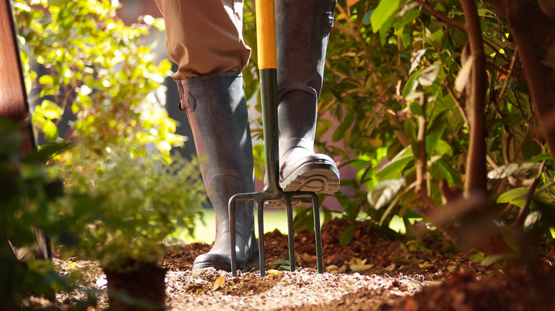 garden fork