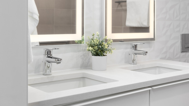 Tidy bathroom countertop with just one small faux plant on the surface