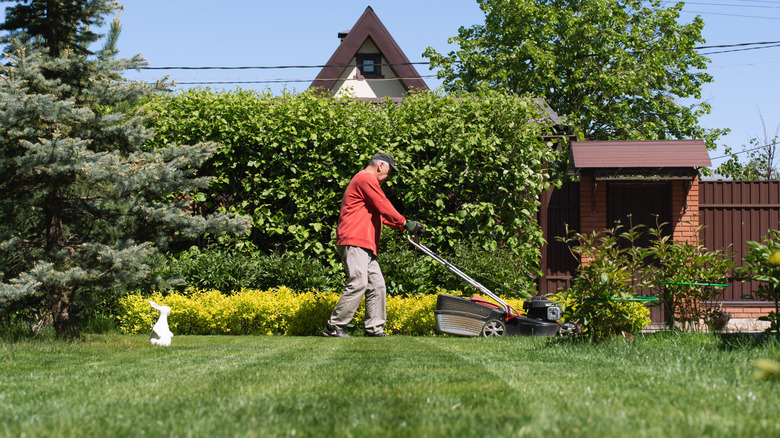 Man mowing lawn with trees and shrubs in the background