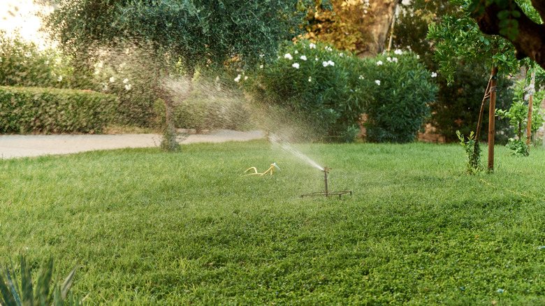 Automatic sprinklers watering a lawn and garden