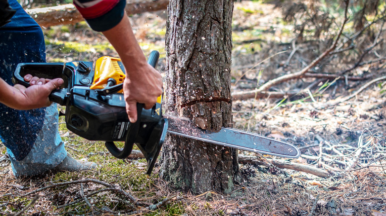 Person cutting wood with saw