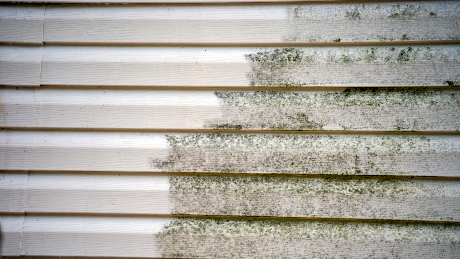 Exterior Mildew Doesn't Stand A Chance Against This Easy DIY Solution