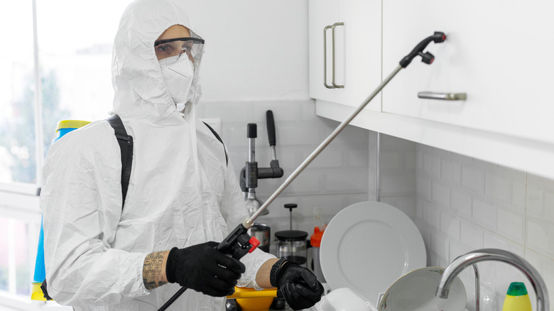 pest control cleaning kitchen