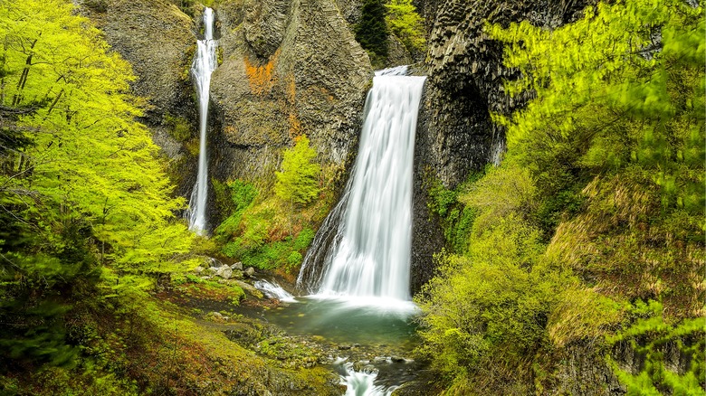 waterfall with moss in forest