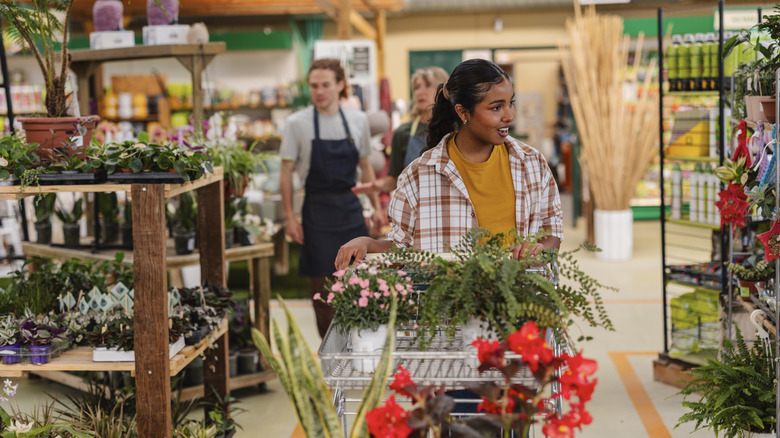 Person shopping at garden center with plants in a cart