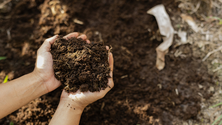 hands holding soil