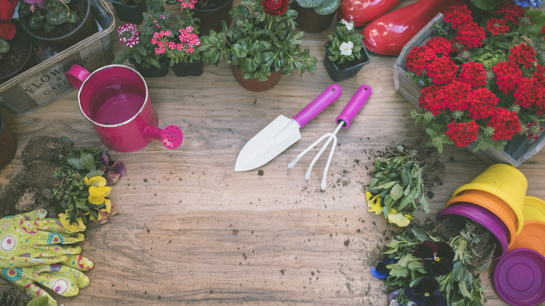 Wooden table litered with gardening tools, flowers, and pots