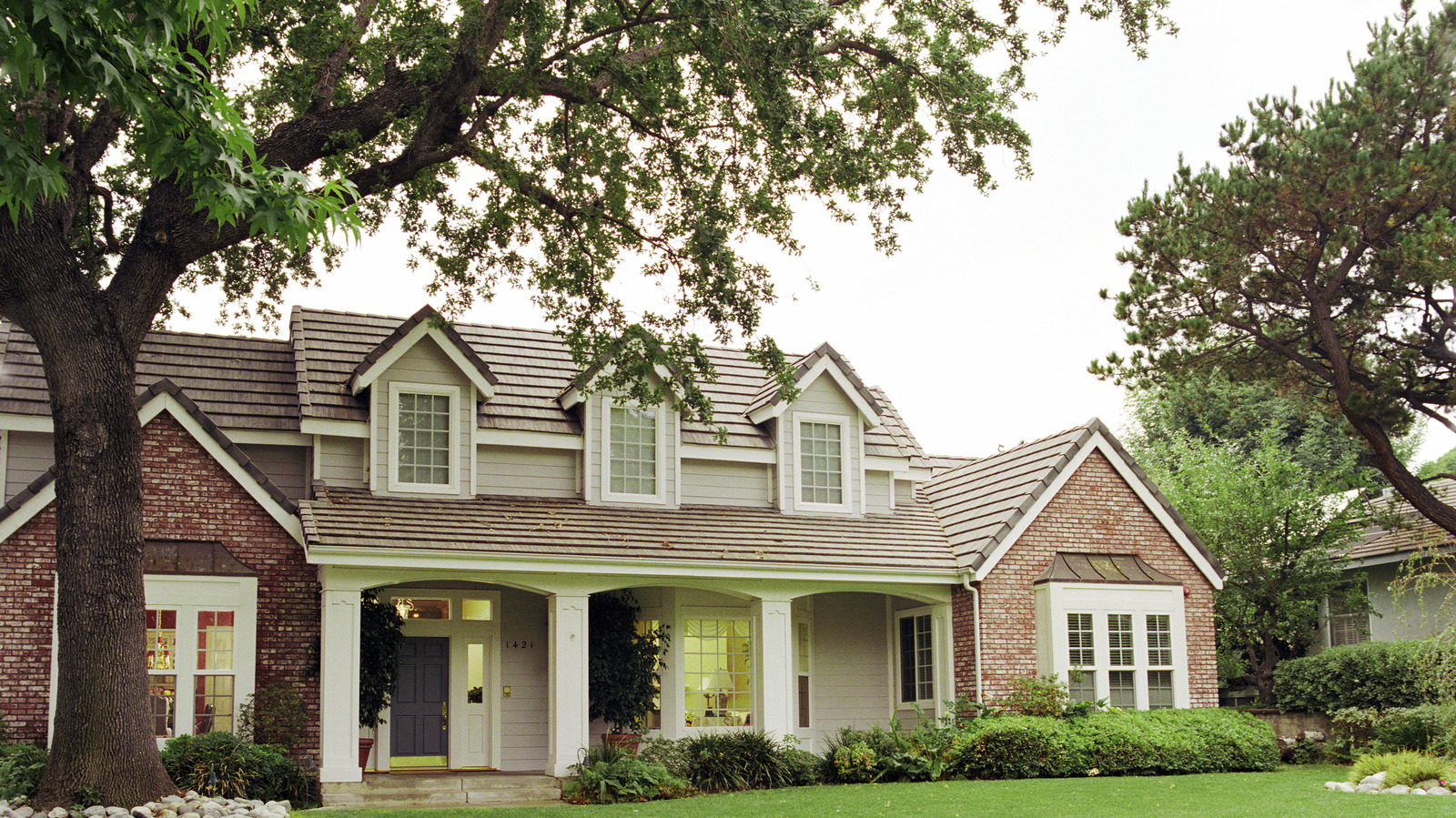 Discover FastGrowing Trees Perfect For Damp Soil Conditions.