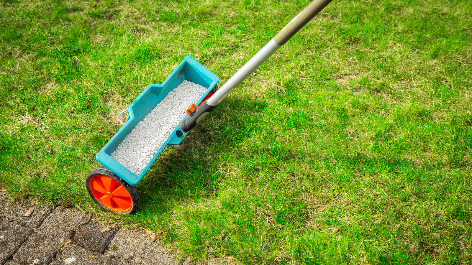 Fast Vs. SlowRelease Fertilizer Which Is Best For A Healthy Lawn?
