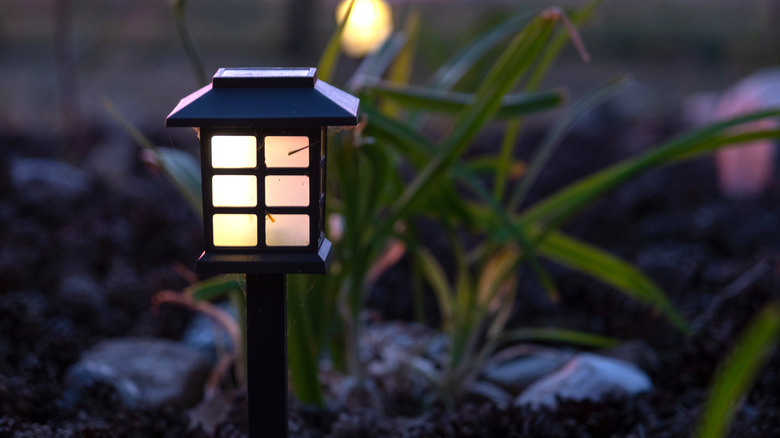 A plain solar light in a yard at night
