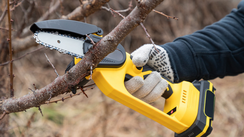 Hand with small chainsaw trimming branches