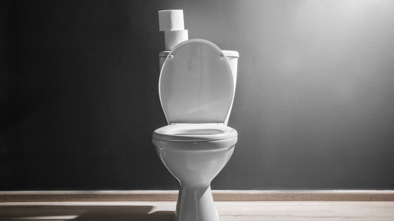 A Toilet