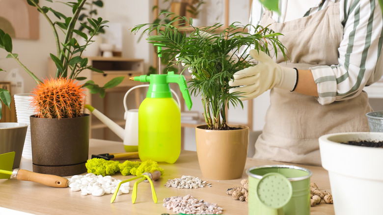 A garden table filled with various potting materials