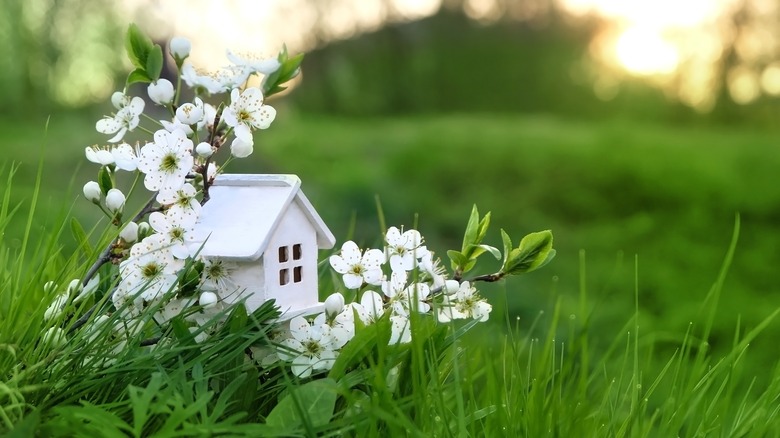 White house, flowers, and grass