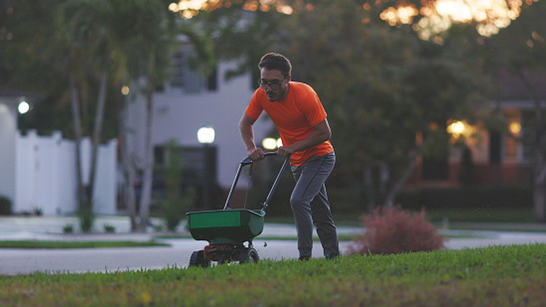 Person adding fertilizer to a spreader on lawn