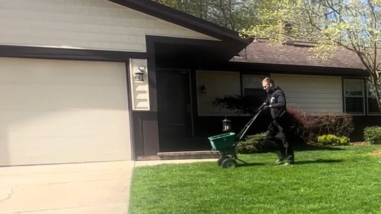 Man using a fertilizer spreader on a lawn