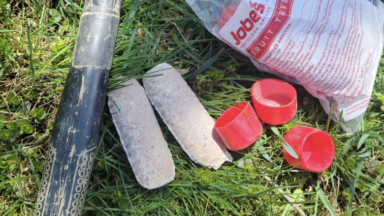 Closeup of Jobe's fruit tree spikes laying next to a hammer in the grass