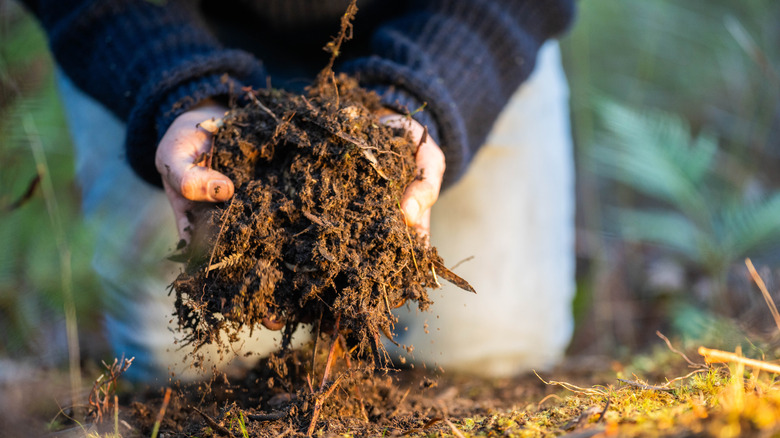 A gardener scoops up soil from her garden with both of her hands.