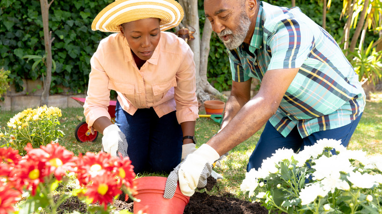 A man and a woman are gardening together