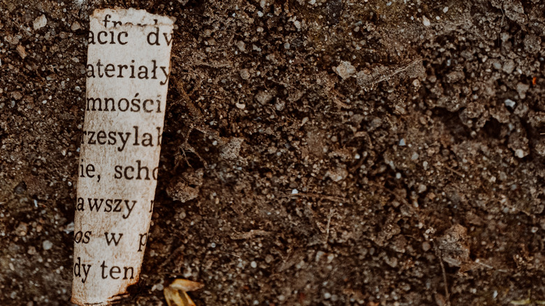 Newspaper pieces appearing out of dirt