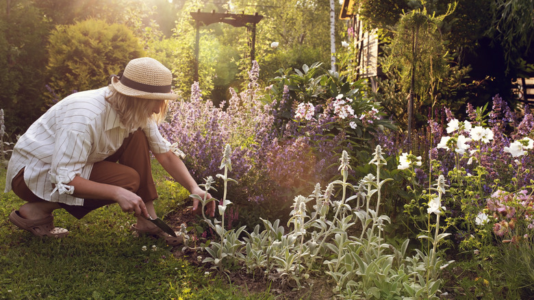 A person in a sunhat working on her flower garden with a small garden spade