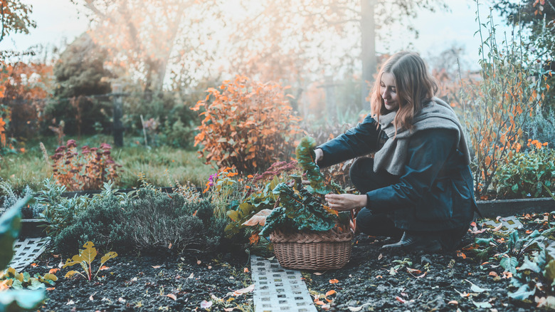 woman gardening in fall