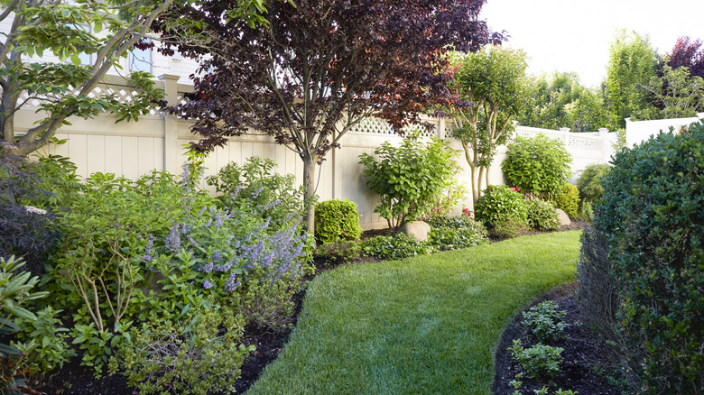 A garden with a range of plants, shrubs, and flowers