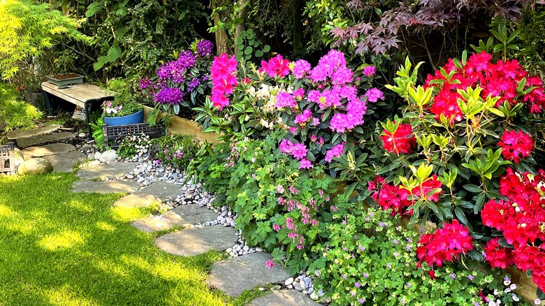 Plants in various colors, ranging from deep purple, yellows, and greens, are planted together