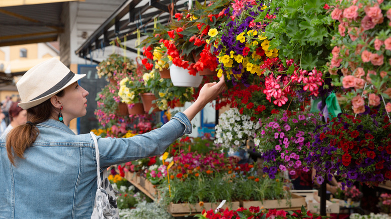Woman shopping for hanging flower basket.