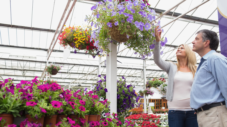 A couple looking at hanging baskets filled with flowers in a garden center