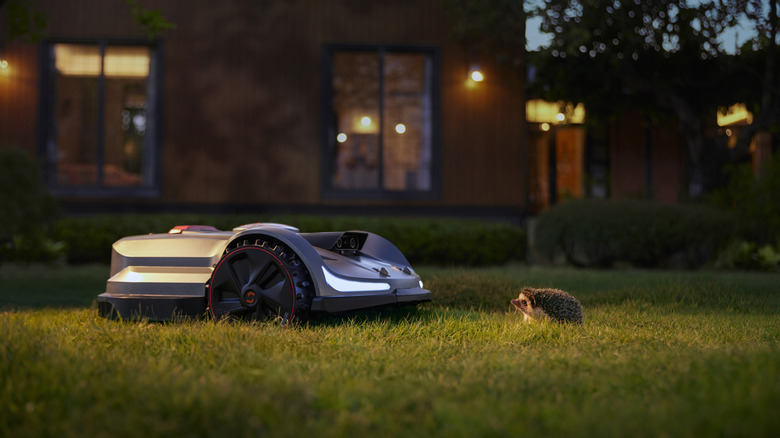 Sunseeker Elite X7 mower in front of a hedgehog