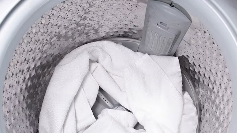 Interior of an Avanti washing machine