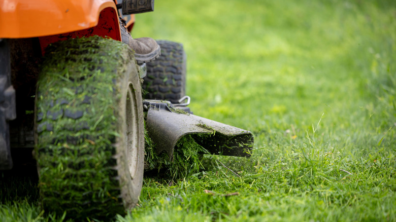 Riding lawn mower on a freshly cut lawn