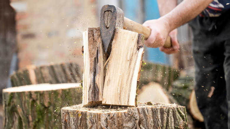 Man chopping firewood on a tree stump.