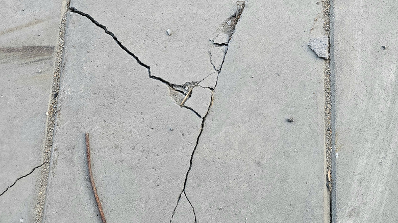 Fixing Cracked Driveway Pavers Is Simple: Here's What You Need