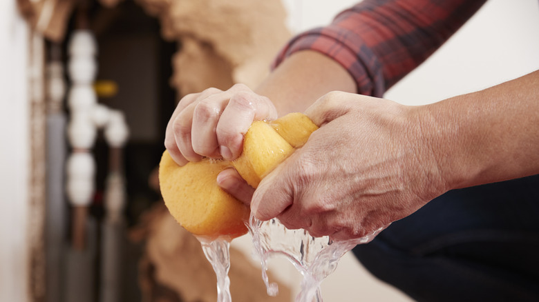 Person squeezing water out of sponge