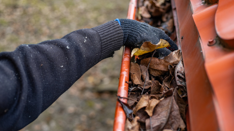 A man cleaning leaves out of gutters while wearing gloves