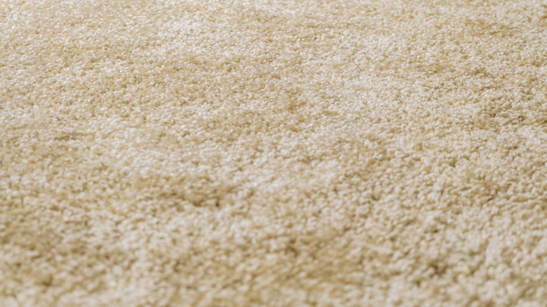 A close-up shot of a beige frieze carpet