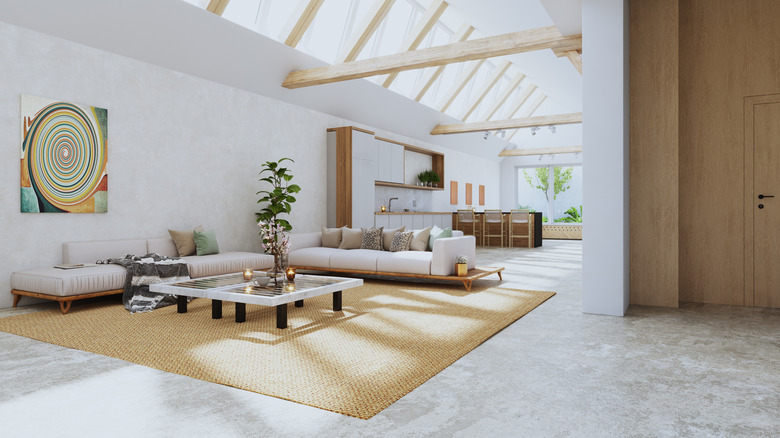 Large living room rug in a bright open floor plan layout