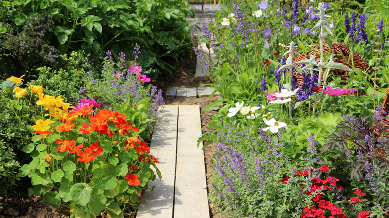 Low-maintenance flower garden