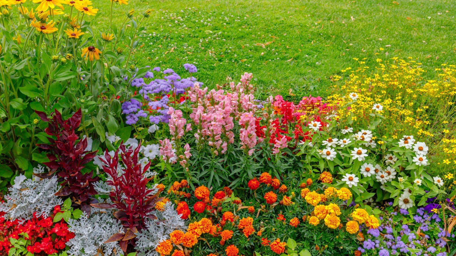 Flowers You Should Plant In April For Showstopping Summer Blooms