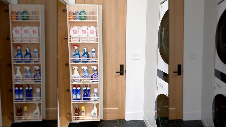 Cleaning products in laundry room