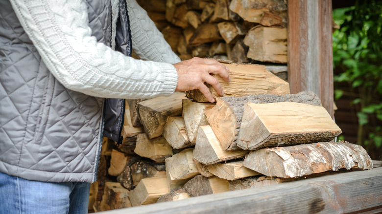 stacking firewood in pile