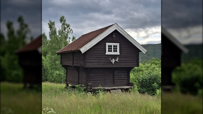 Modern Stabbur with antlers and a window on a mountain side with long grass and trees